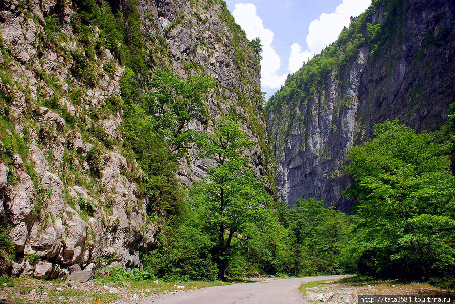 Юпшарское ущелье Рица Реликтовый Национальный Парк, Абхазия