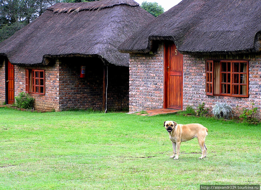 Свазилендские зоопарки Свазиленд
