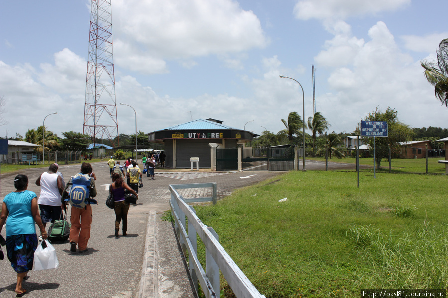 Пампасы — 14. 05.04.2011 Суринам. Суринам