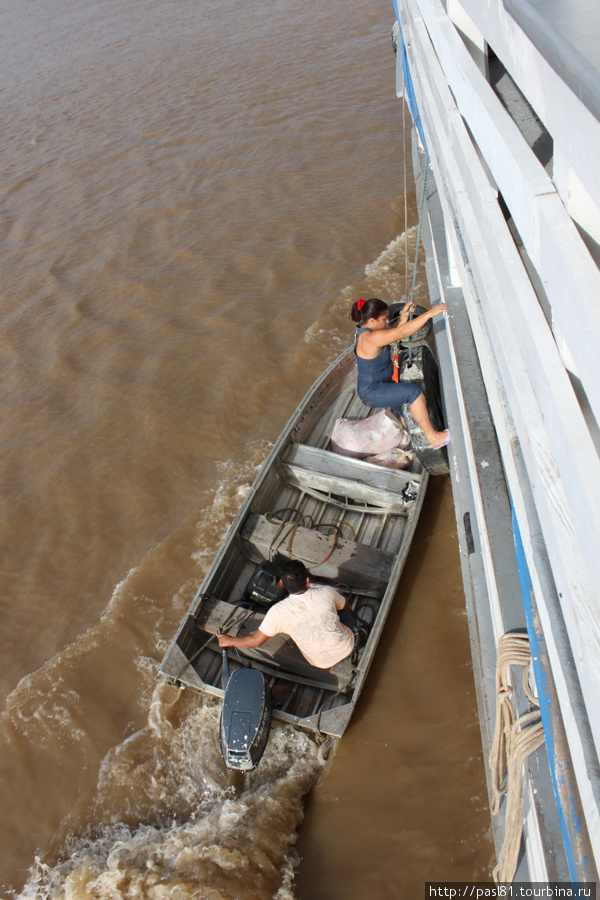 Пампасы — 25. 13.04.2011 — 15.04.2011. Жизнь на реке. Штат Амазонас, Бразилия