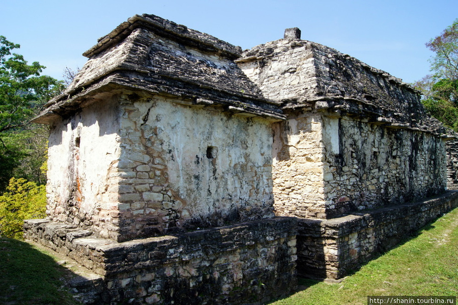 Храм дель Конде — вид сзади Паленке, Мексика