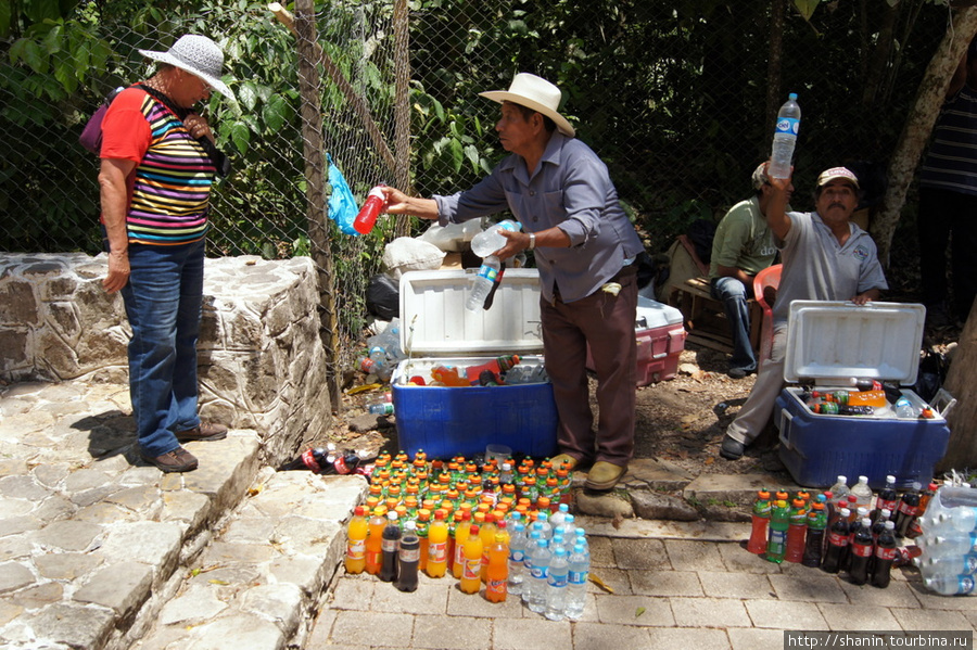 Прохладительные напитки — тоже для туристов Паленке, Мексика