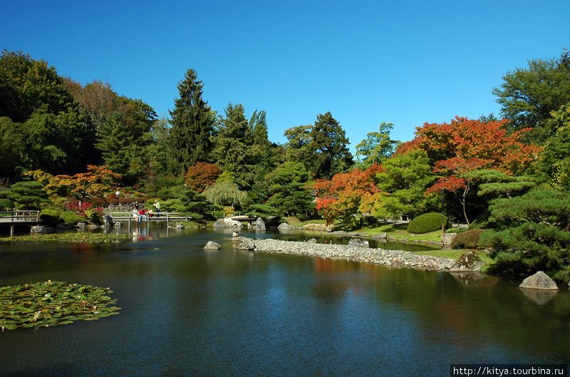 Японский сад / Seattle Japanese Garden