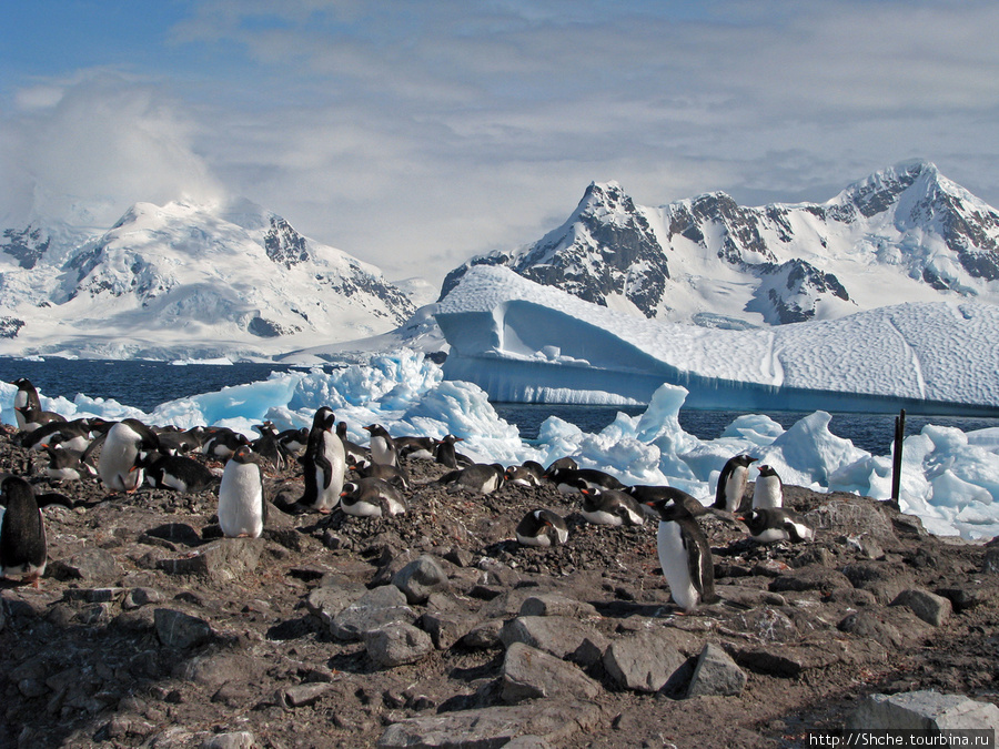 Мы пошли влево Антарктическая станция Гонсалес-Видела (Чили), Антарктида