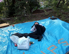 Молодой сотрудник японской фирмы занимает место под сакурами для своих коллег (парк Уэно)