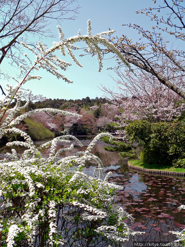 Киото в цвету Киото, Япония