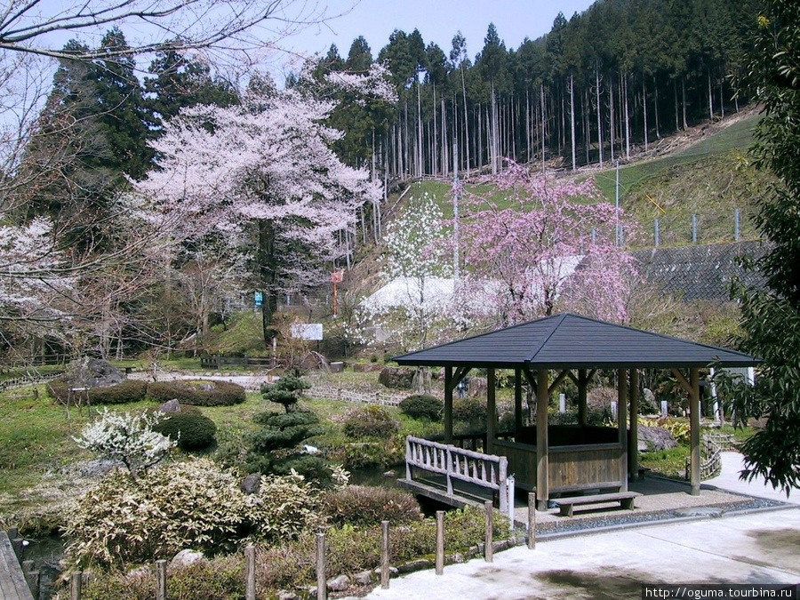 Просто небольшой парк на одной из горных дорог Япония
