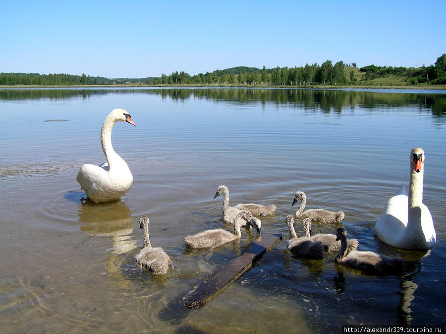 Озеро у Словенских ключей Псковская область, Россия