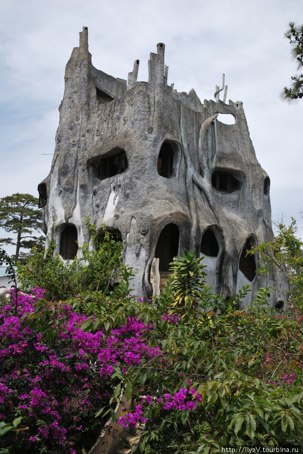 Сумасшедший дом или гостиница Ханг Нга Далат, Вьетнам