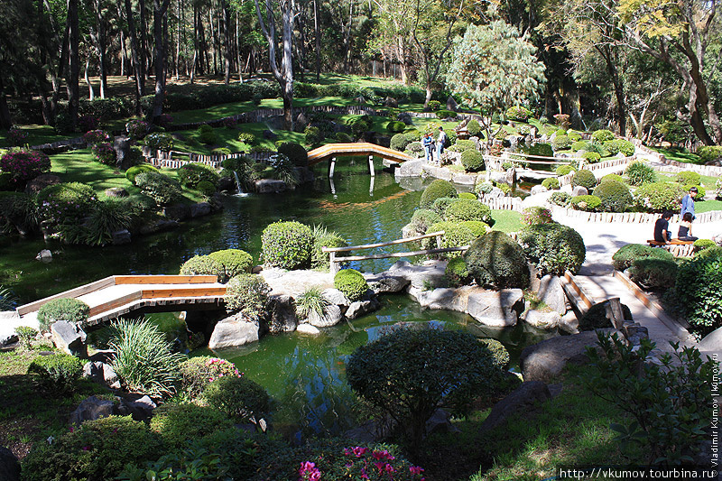 Японский сад. Какой уж есть. Гвадалахара, Мексика