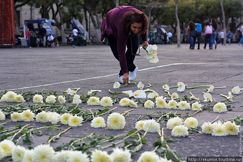 Большой крест выложенный из белых цветов. Гвадалахара, Мексика