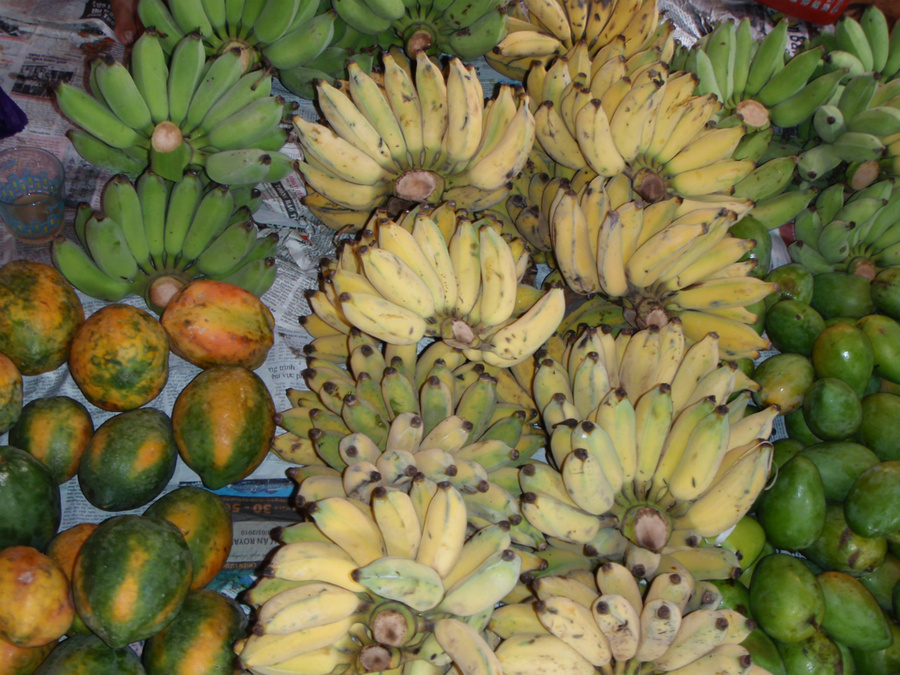 Манго, бананы. Вьетнамцы едят манго с перцем и солью. Зеленые манго, те что справа, чистят от кожи, режут кусочками и присолив едят. Мы выбирали те, что слева, большие и желтые. Сладкие и мягкие. Съедается сразу. Хранить в холодильнике тропические фрукты нельзя. Они пропадают быстро, теряют вкус и свойства. А если их оставить на столе, то могут прийти муравьи и остаться.
Кстати, бананы, как не странно вкуснее зеленого цвета, маленькие. Нячанг, Вьетнам