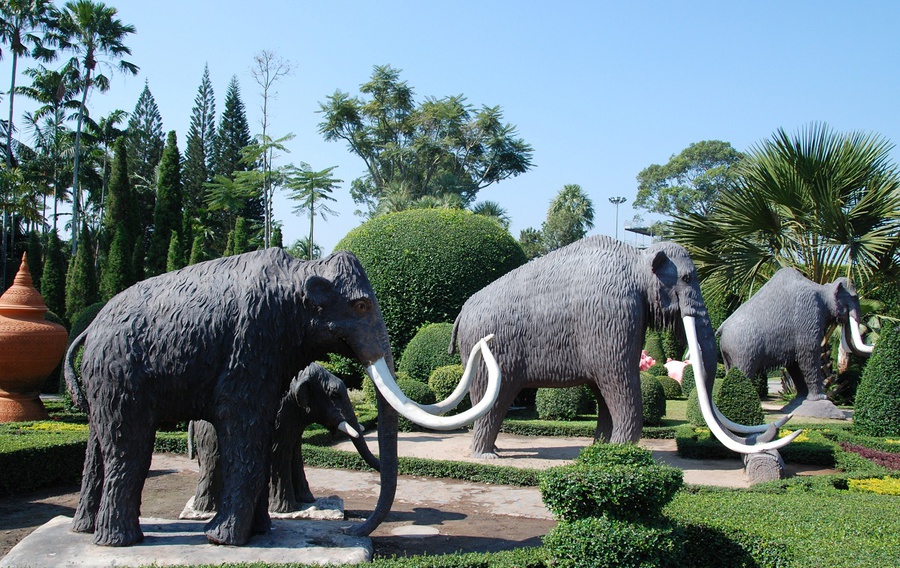 Парк, которого не было в моем детстве (ч.1 — для ботаников) Паттайя, Таиланд