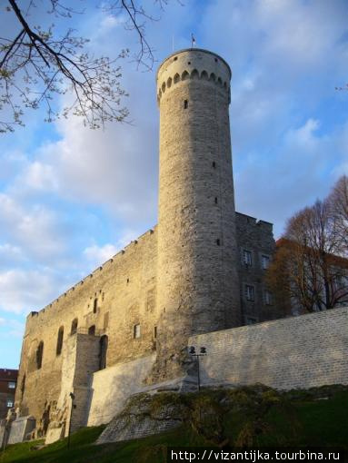 Таллинн. Тоомпеа. Крепость возвышается на 50 метров от уровня. Таллин, Эстония