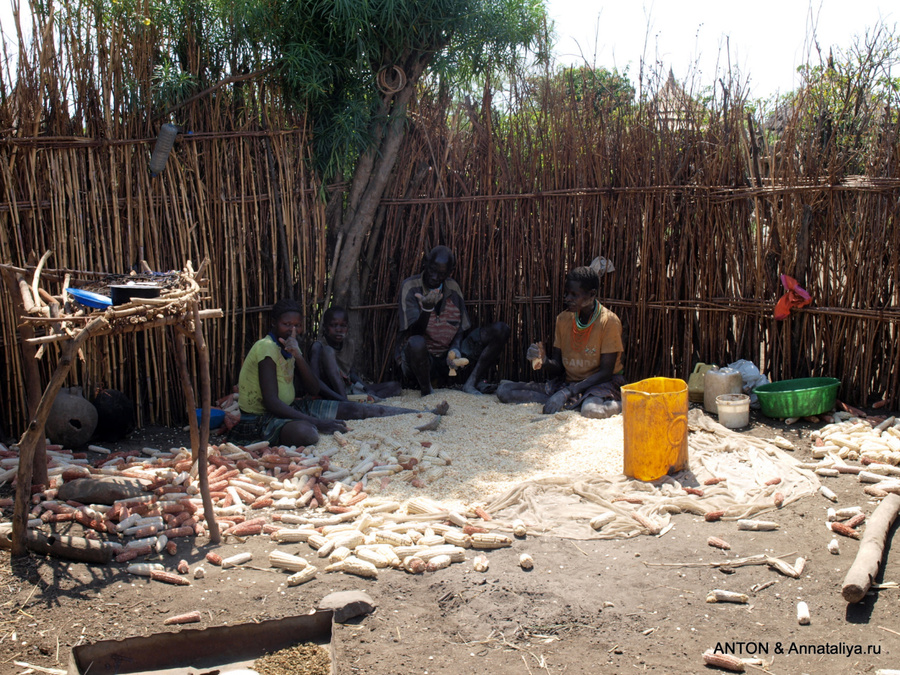 Женщины чистят кукурузу Заповедник Пиан-Упе, Уганда
