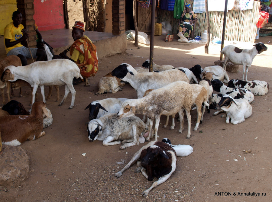 Карамоджонги - часть 3. Деревенский рынок Заповедник Пиан-Упе, Уганда