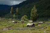 Дома в деревне деревянные и огорожены от соседей забором из кольев. Все чаще стали встречаться металлические крыши.