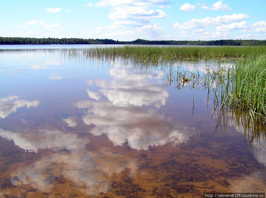 Дымское озеро Тихвин, Россия