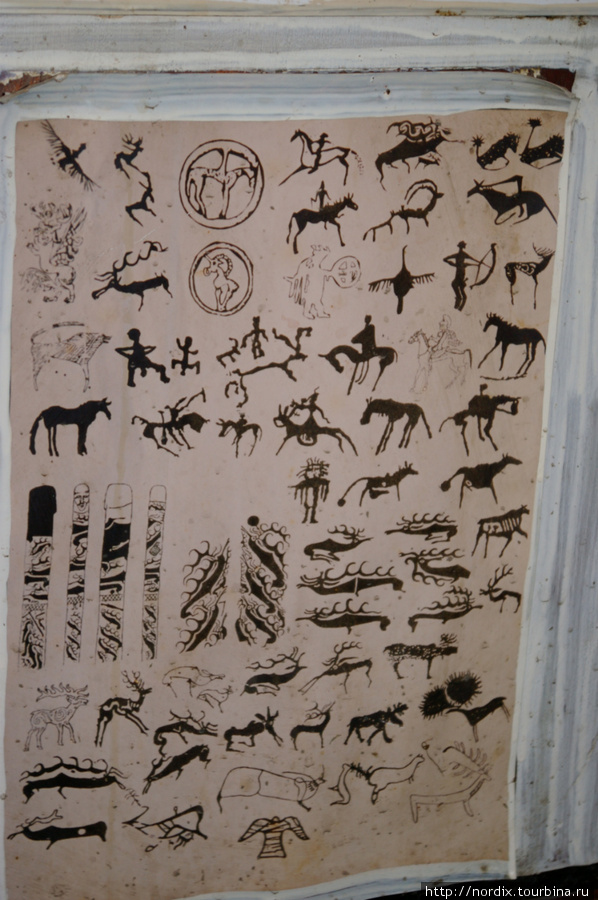 На стенах висели чучела птиц и копии наскальных рисунков. Белокуриха, Россия