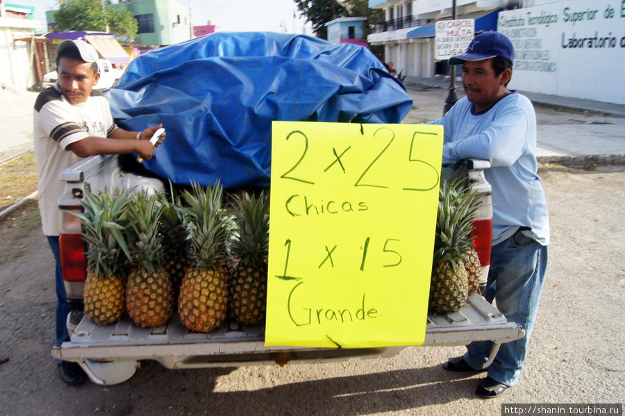 Торговцы ананасами Эскарсега, Мексика