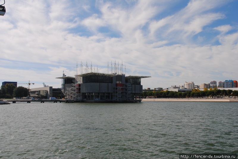 Ну и знаменитый лиссабонский океанариум. Тоже своего рода музей) Лиссабон, Португалия