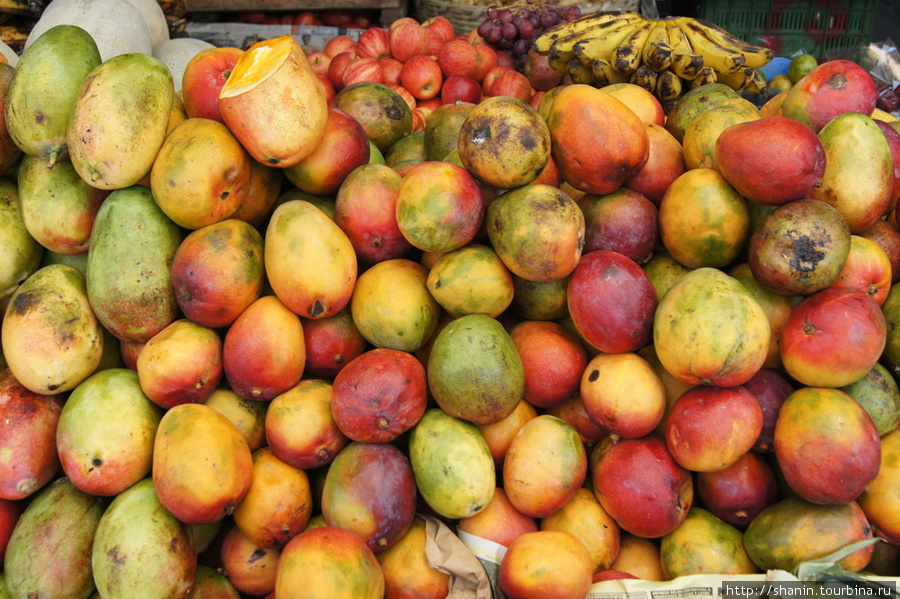 В апреле — сезон манго