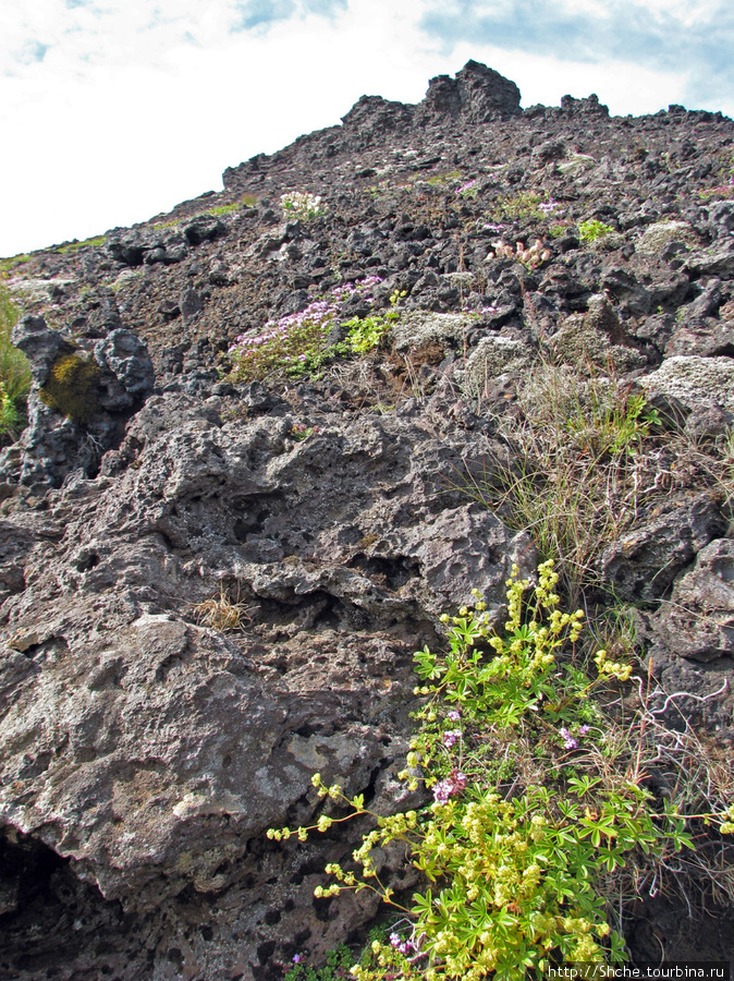 Saxholl - компактный кратер конкретного  вулкана Западная Исландия, Исландия