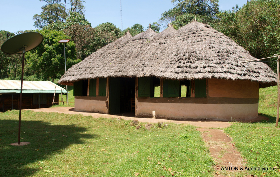 Экологическая школа для школьников в парке Национальный парк Элгон, Уганда