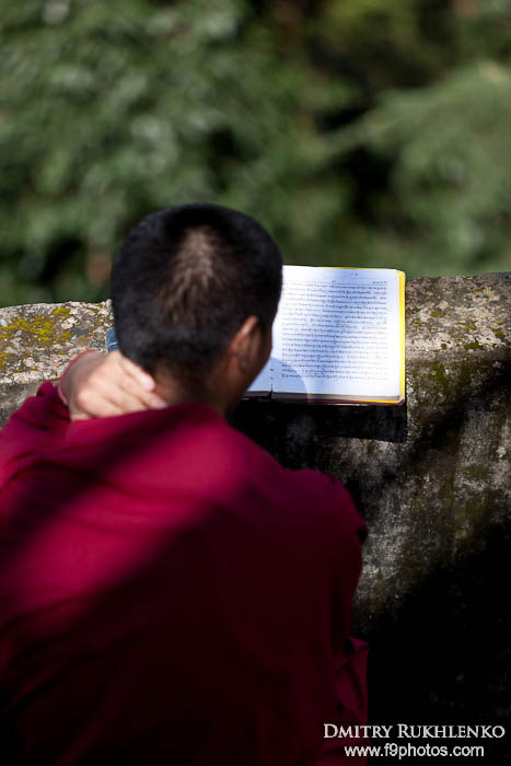 Буддийский монах, читающий священные тексты Маклеод Гандж, Индия