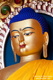 Очень красивая статуя Будды Шакьямуни в Цуглагкханге в МкЛеодГандж. 
И можно снимать со штатива :)
