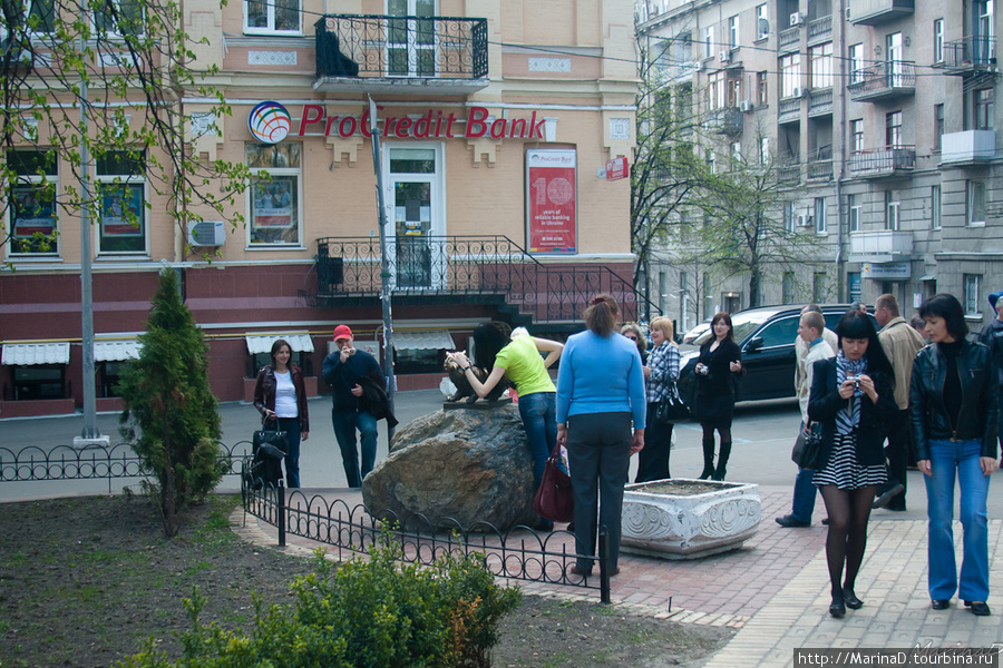 толпа желающих погладить и сфотографироваться — обычное явление Киев, Украина