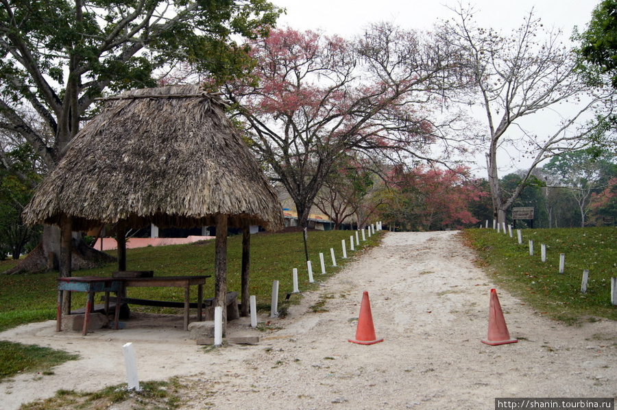 Дорога к Великой площади в Тикале Тикаль Национальный Парк, Гватемала