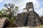 Пирамида в Тикале