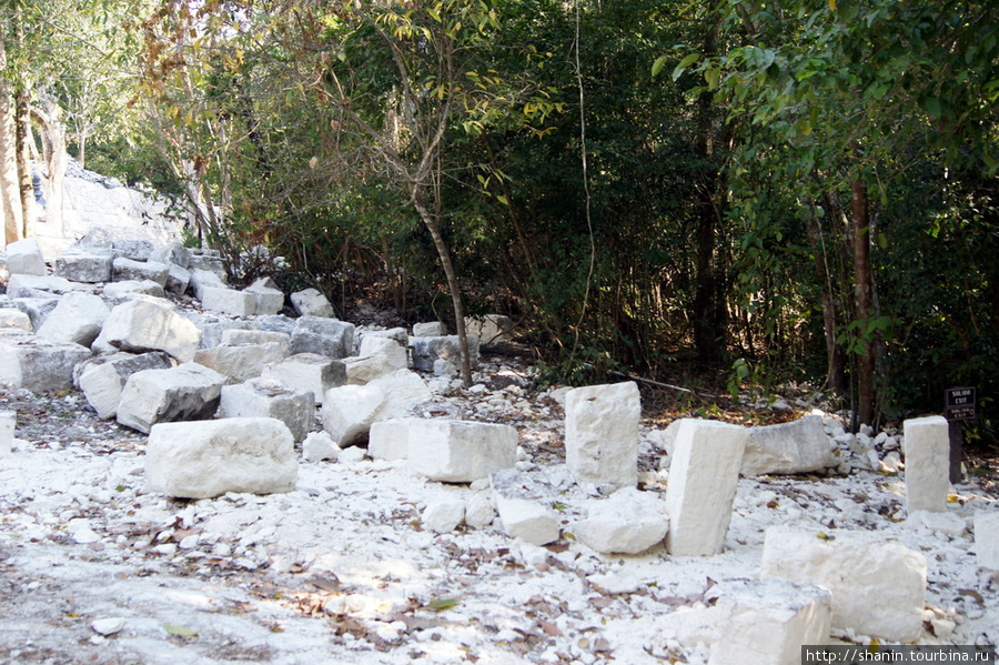 Каменные блоки — с руин Тикаля Тикаль Национальный Парк, Гватемала