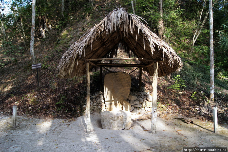 Западная площадь Тикаль Национальный Парк, Гватемала