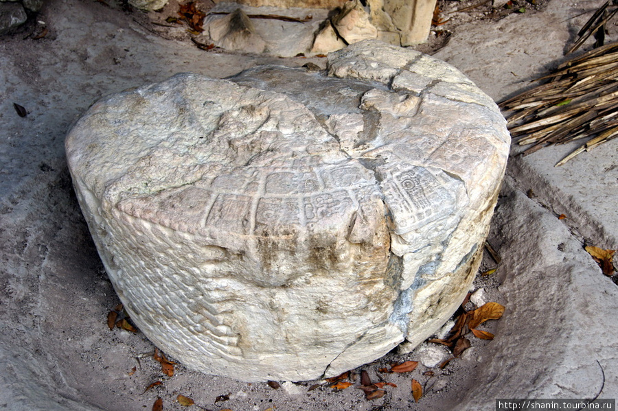 Камень с резьбой Тикаль Национальный Парк, Гватемала