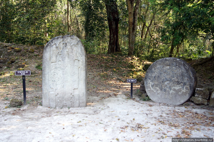 Камни на руинах Тикаля Тикаль Национальный Парк, Гватемала