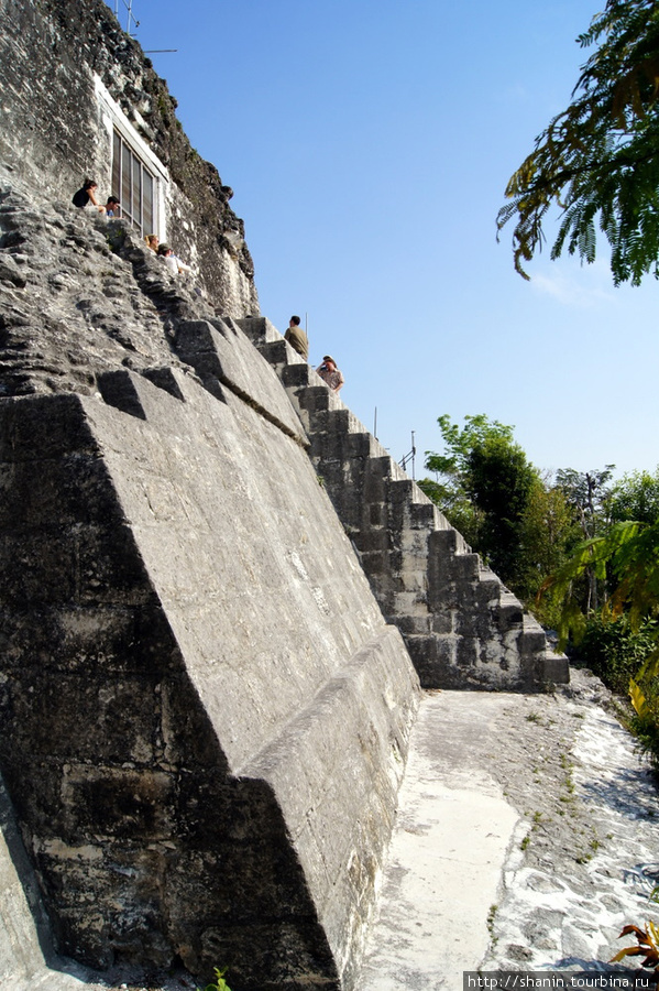 Пирамида в Тикале Тикаль Национальный Парк, Гватемала