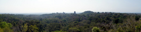 Панорама джунглей — вид с вершины пирамиды на Западной площади