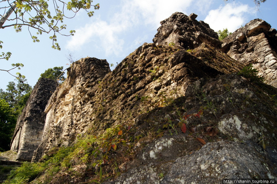 Руины храма на площади Семи храмов в Тикале Тикаль Национальный Парк, Гватемала