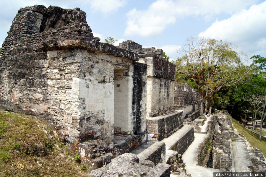 Руины храма Тикаль Национальный Парк, Гватемала