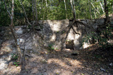Руины Тикаля заросли лесом