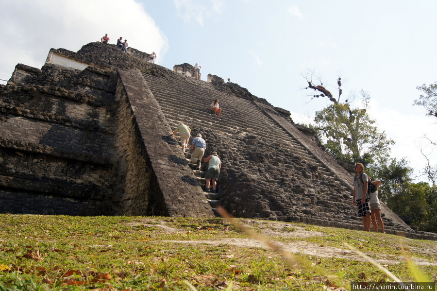 Пирамида в Заброшенном мире Тикаль Национальный Парк, Гватемала