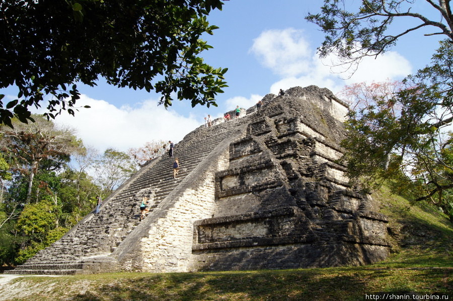 Пирамида Заброшенного мира Тикаль Национальный Парк, Гватемала