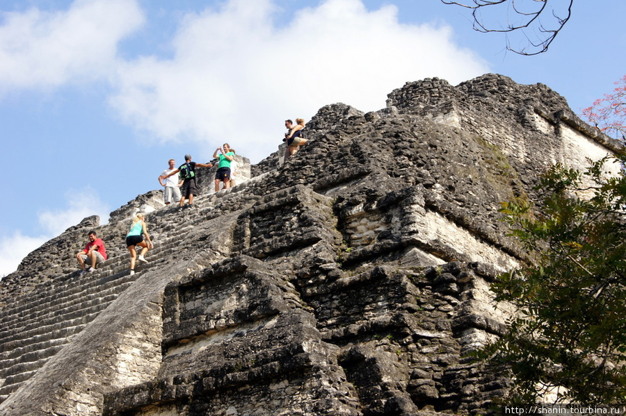 Пирамида в Заброшенном мире в Тикале Тикаль Национальный Парк, Гватемала