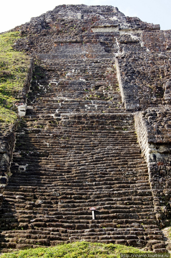 Пирамида Тикаль Национальный Парк, Гватемала