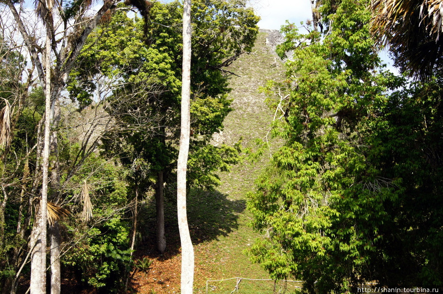 Заброшенный мир в Тикале Тикаль Национальный Парк, Гватемала