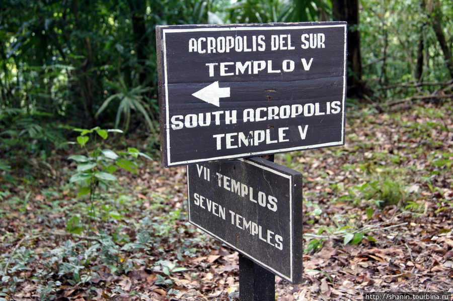 Южный акрополь Тикаль Национальный Парк, Гватемала