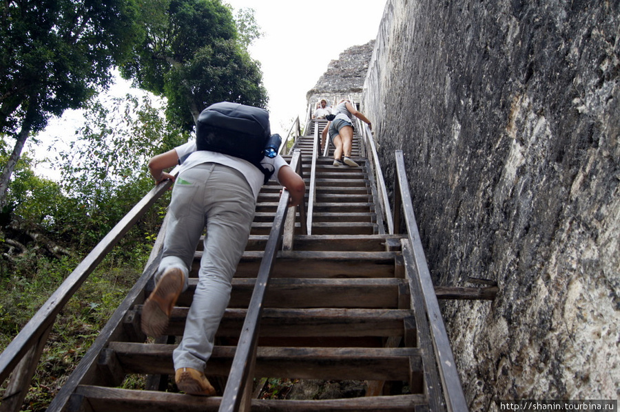 Подъем по крутой лестнице на пирамиду Тикаль Национальный Парк, Гватемала