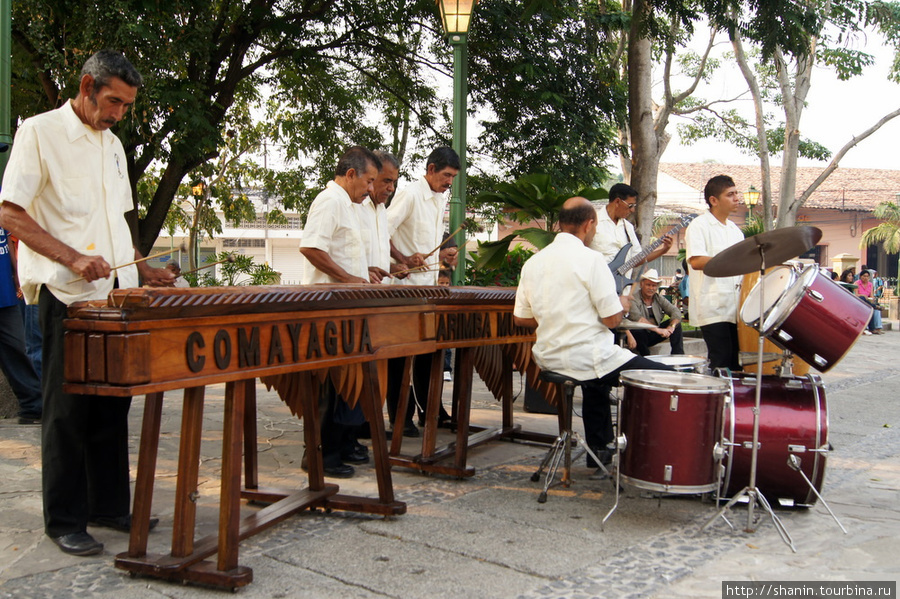 Музыканты на дегустации кофе Камаягуа, Гондурас